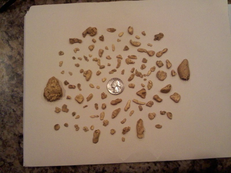 200 ACRES GOLD CLAIM, WINNEMUCCA, NV.: more nuggets